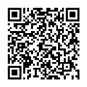 而眼前这个只有神级的家伙竟然拥有一个四翼天使作为手下二维码生成