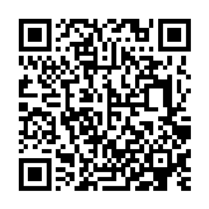 而眼前这个自称司徒伯南的皇叔比修罗国神皇还要高出一辈来二维码生成