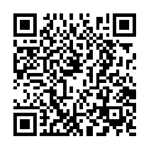 而眼皮位置甚至还有着大量的藻类与绿色苔藓之类二维码生成