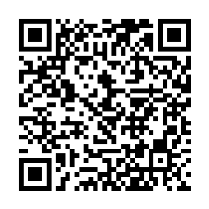 而知道了小胖厉害的欢喜哥也终于不再敢嘲笑小胖了二维码生成