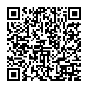 而知道那无角人打算把远古传承交给苏门大巫的也只有我们这些人二维码生成