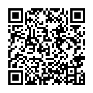 而神魂碎片变异的最重要的目的就是为了容纳魂携带着的二维码生成
