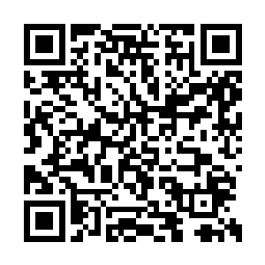 而离着他们不远的大山四人也自然是早就发现了二维码生成