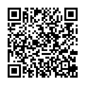 而秦嫣然则是对房间里面的一幅壁画感兴趣起来二维码生成