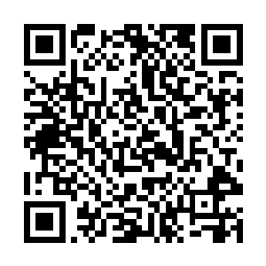 而秦宇的目光在这一刻却是一瞬不瞬的盯着那棺材盖二维码生成