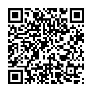 而秦方满打满算能堪比大师级都已经算是顶天的了二维码生成