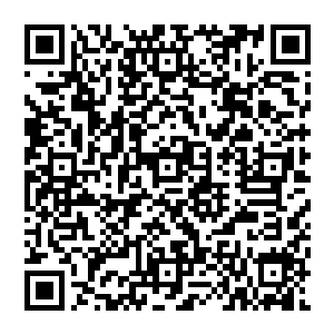 而秦方这边一共女人都可以轻松将这些人屠杀干净……可这女人却需要秦方千里迢迢的过来救援二维码生成