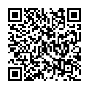 而秦晶晶……很多人在她身上看到了明晓敬的现在二维码生成