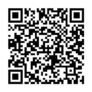 而秦母在听到秦宇的肯定答复之后却是一下子跳了起来二维码生成
