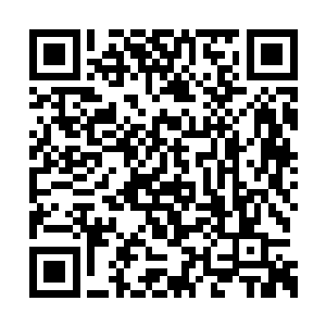 而秦逆流那个戒指更是一枚杜家拍卖行贵宾指环二维码生成