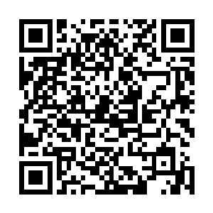 而穆扬灵也已经飞速的跳到了树上并判断出对方的大致方向二维码生成