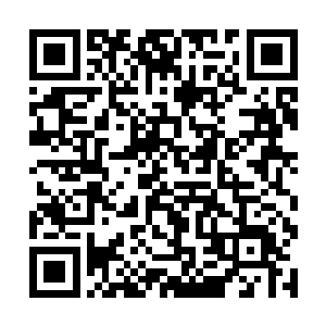 而第二条食人鳄鱼却很可怜地被它的同伴们撕成碎片二维码生成