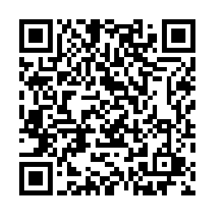 而笼罩在他们周围的隔绝罩也因为流墨墨的昏迷自动解除二维码生成