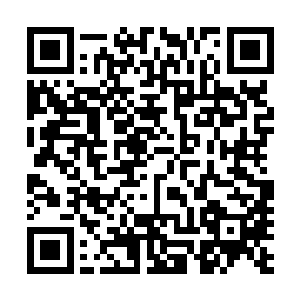 而等待一旁的囚牛也以迅雷不及掩耳之势从角龙的眼中钻入二维码生成