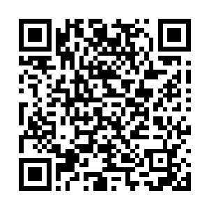 而米拉的脱颖而出则显得让人摸不着头脑――当然二维码生成