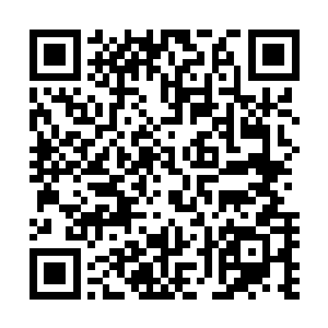 而紫卿云也控制戾血莲以最快的速度前往天一道的中央神塔二维码生成