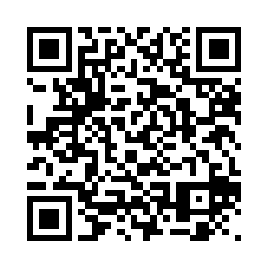 而紫晴和熊宝他们则分别坐在横公鱼二维码生成