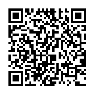 而紫色龙蟒散发出的气息则是狂暴的雷霆之力的波动二维码生成