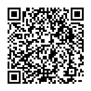 而红蝎军团订制的蝎针特别版则经过了关键部位的重新设计和调校二维码生成