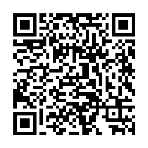 而经过了那么多次对战……他们仍是无法杀死彼此二维码生成