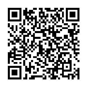 而给了雨果一个带有讽刺意味的音乐喜剧类最佳男主角二维码生成