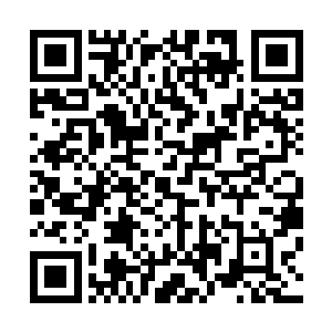 而继承了铁血战士的战斗技巧以及异形战斗本能的铁血异形二维码生成
