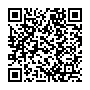 而维持活人继续冬眠的营养液和冬眠液也即将消耗殆尽二维码生成