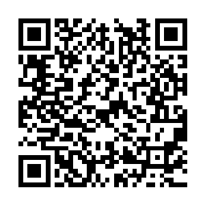 而罗建的身子更是以极快的速度来到长阳虎的身前二维码生成