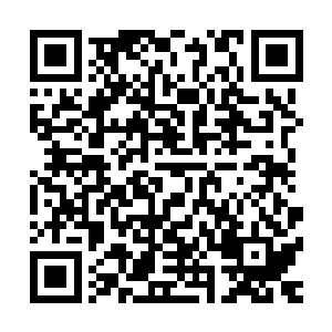 而罗玉峰等人看到楚暮一人独战十几个还能够将对方击败之后二维码生成