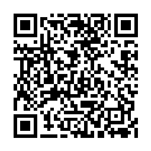 而罗生花最后也只得不甘不愿的重新变了个模样二维码生成