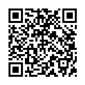 而罗盘仙人却拿出了接近三分之二的材料二维码生成