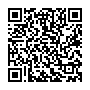 而罗至刚却只不过是江州市下辖一个区的公安局分局局长而已二维码生成