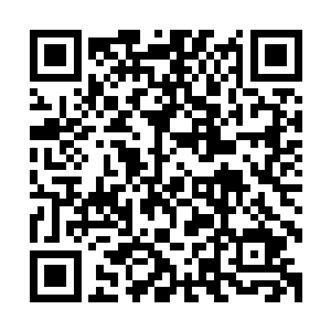 而群峰之巅那些老家伙也不会看着几千万族人在你的治下生活二维码生成
