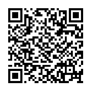 而能将这些进化者遏制在这个世界的本土英雄们二维码生成