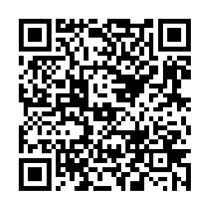 而脸上原本那层皮竟然就顺着我微微朝下滑的手指二维码生成