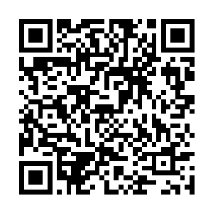 而自以为凶悍的日本士兵在暴雨梨花箭落下的瞬间二维码生成