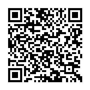 而自以为有金手指已经比普通人强大很多的梓箐二维码生成