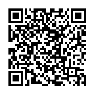 而自动忽略了本该由政府承担起来的责任和义务的这个时代二维码生成