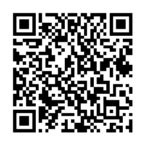 而自己也没有在战场上做人族战士保姆的能力和资格二维码生成