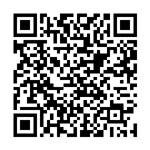 而自己正在看着一个不相关的人生命在自己的眼前流逝二维码生成