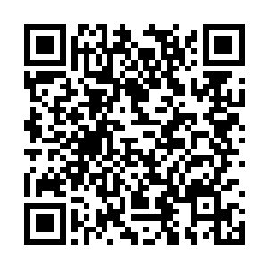 而自己正在这个先天仙宝的内部近距离观察它一般二维码生成