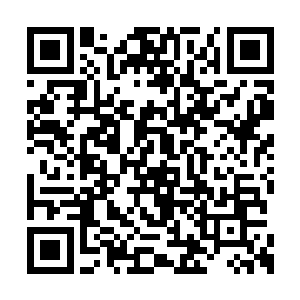 而自己现在所有措施都没涉及到军队打仗什么的二维码生成