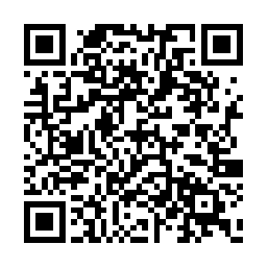 而自己的精血竟然顺着胸口不断的被吸进嗜血珠二维码生成