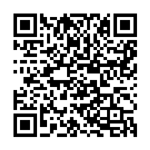 而自己等人刚刚要收拾的家伙竟然连虎啸天还有李城都要叫凡少二维码生成