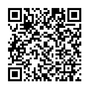 而至于场中和萧易他们并列坐在一起的那些小家族们二维码生成