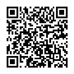 而芒果台的其他节目在全国范围内也是排的上名次的二维码生成