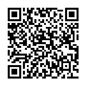 而苍澜宗这边除了受伤的人尊初期巅峰大修士还剩下九个二维码生成