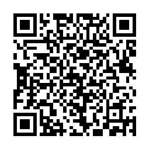 而苏凡则是当着她的面搂着洛水嫣的细腰走了进去二维码生成