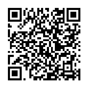 而苏凡则是站在那里看着熊哥的拳头朝着自己轰砸下来二维码生成