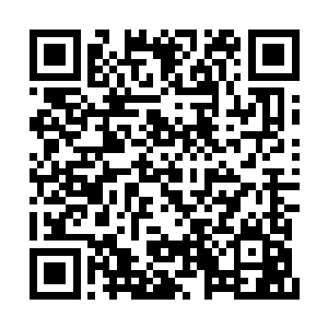 而苏凡松开的半截玻璃瓶此刻也是刚刚掉落在地二维码生成